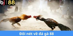 Tổng Quan Về Đá Gà 88 BJ88