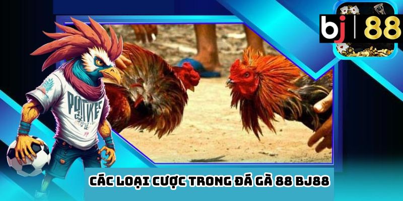 Các Loại Cược Trong Đá Gà 88 BJ88