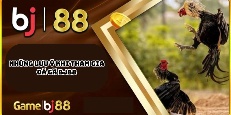 Những Lưu Ý Khi Tham Gia Đá Gà BJ88