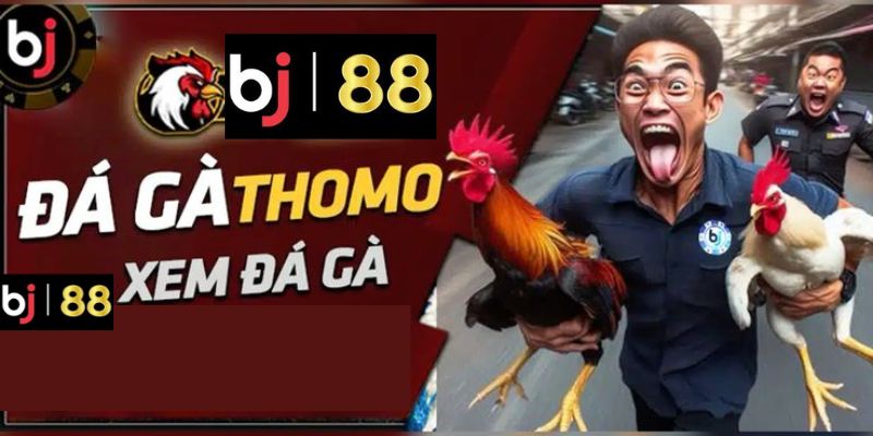  Những Yếu Tố Tạo Nên Sức Hút Của Thomo BJ88